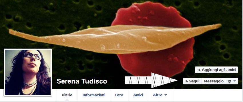 FireShot Screen Capture #021 - 'Serena Tudisco' - www_facebook_com_serena_tudisco_viewas=100000686899395&from=subscribersetting